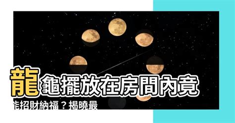 龍龜可以放房間嗎|龍龜擺放風水秘訣：臥室中的最佳位置 